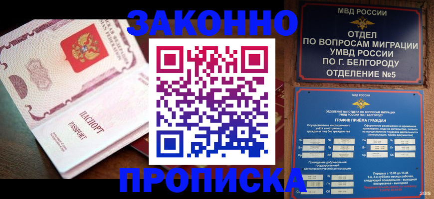 временная регистрация для школы в Черноголовке